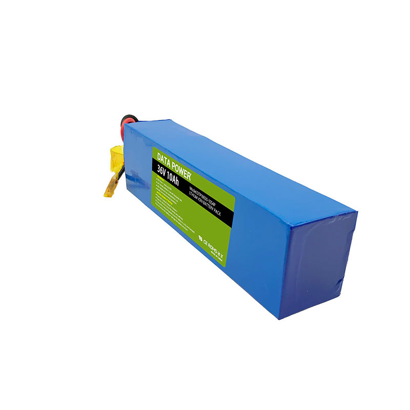 36 Volt 10Ah Li Ion Batteries Packs 36 v Rechargeable Lithium Ion Battery Pack